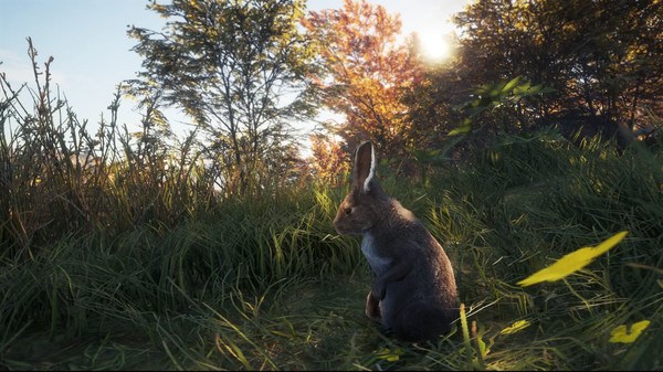 theHunter™: Call of the Wild - New Species 2018