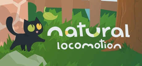 Natural Locomotion VR
