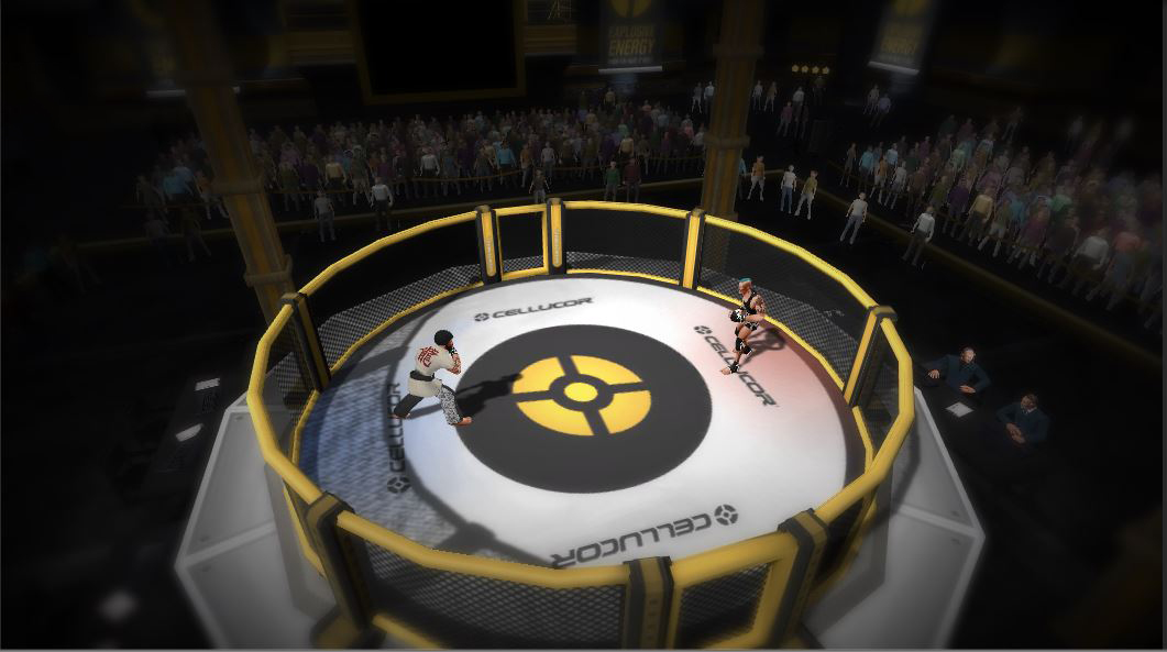 MMA Arena Free Download