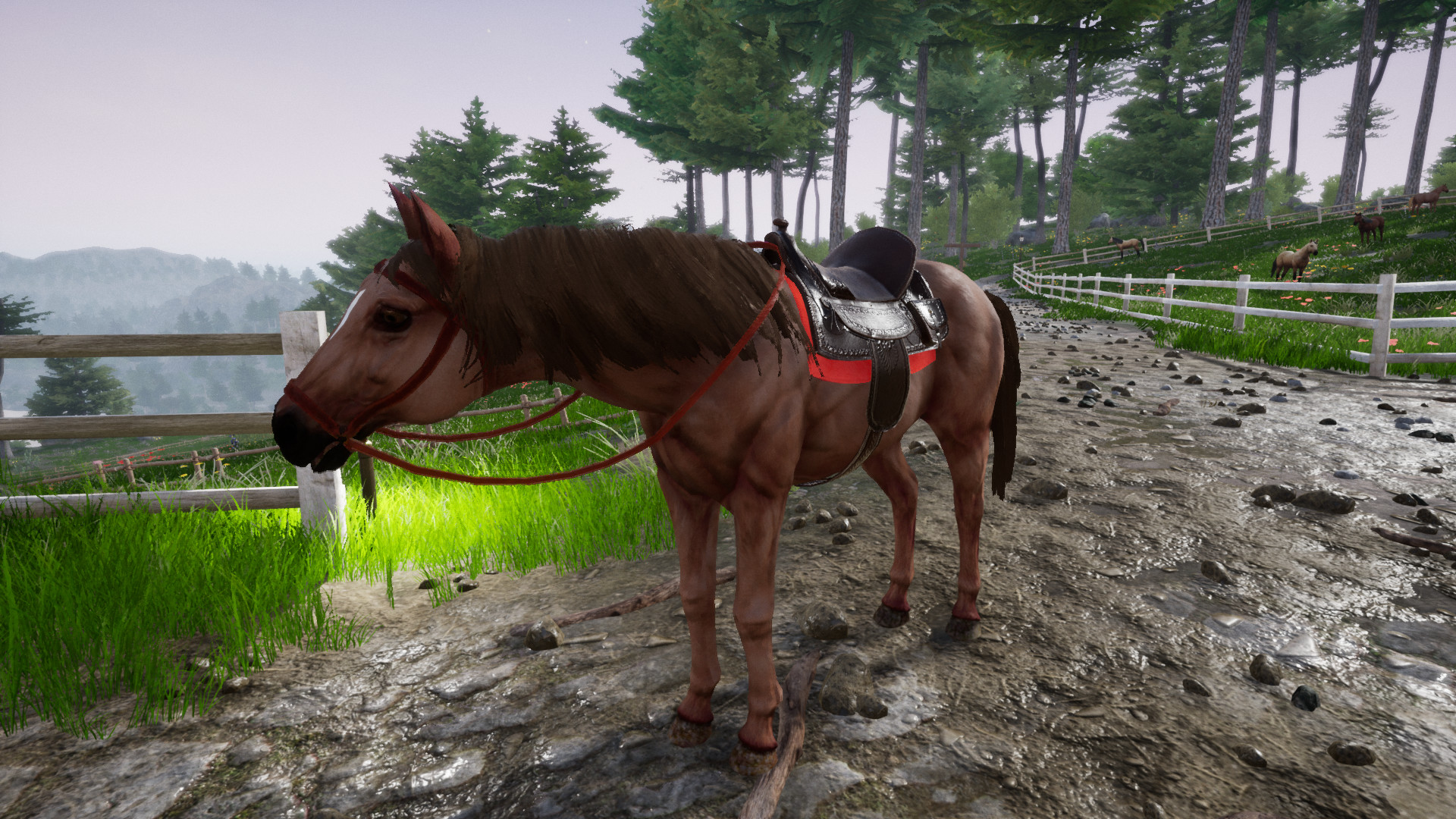 Horse Riding Deluxe 2 Free Download