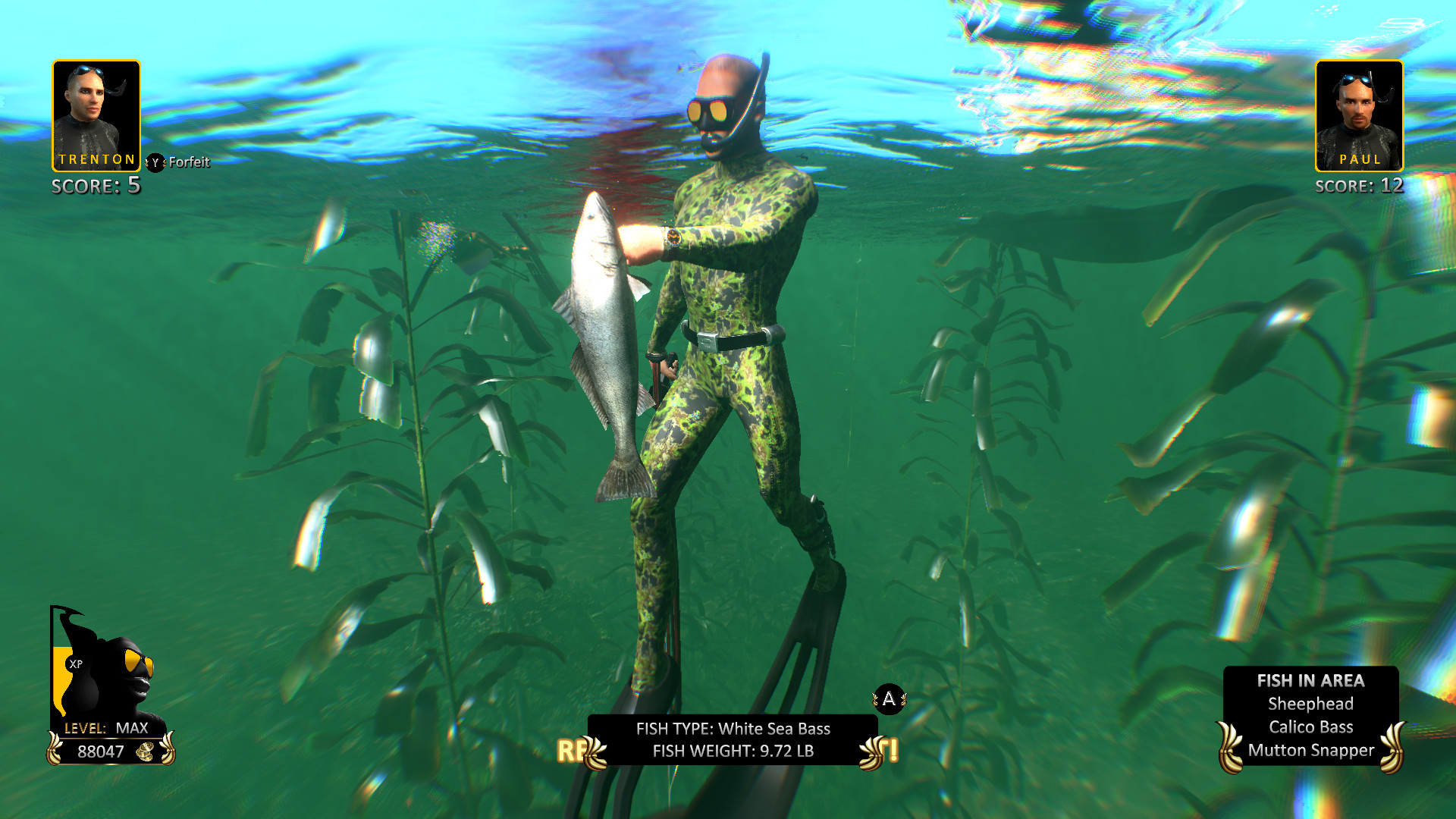 Freediving Hunter Spearfishing the World Free Download