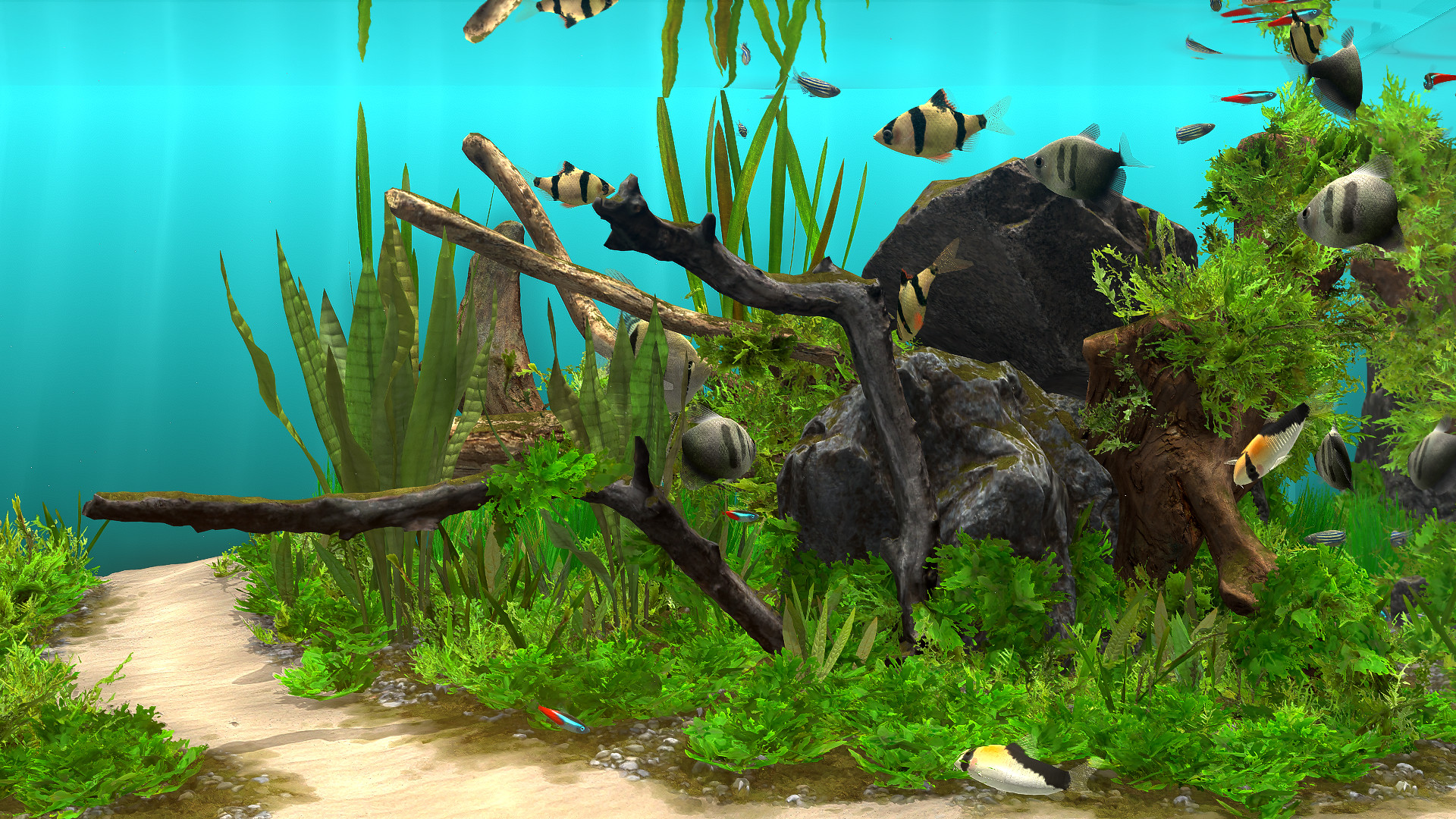 Behind Glass: Aquarium Simulator Free Download