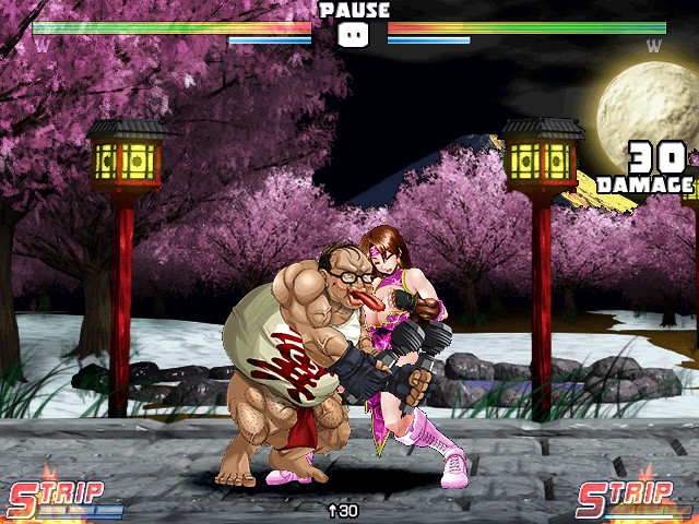 Strip Fighter 5: Chimpocon Edition Free Download