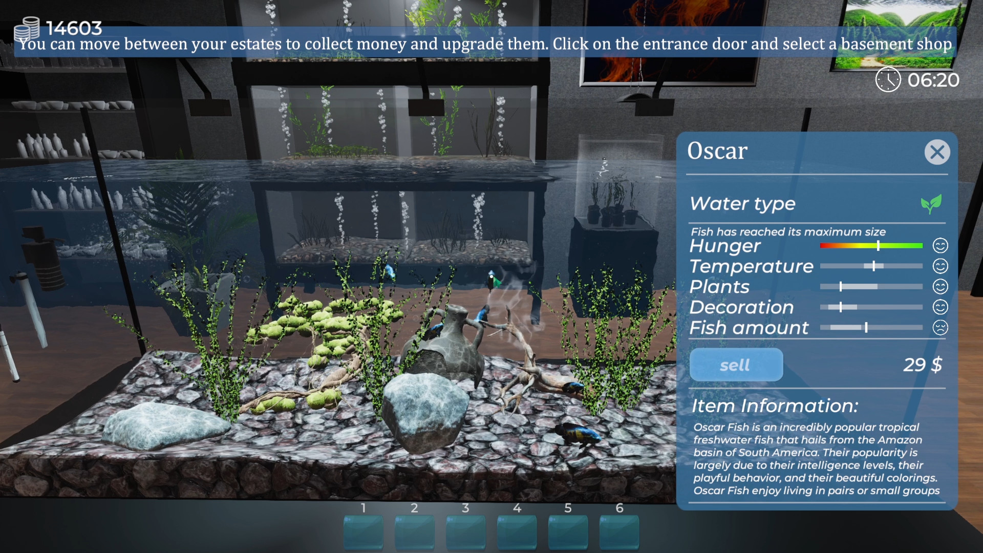 Aquarist - build aquariums, grow fish, develop your business! Free Download