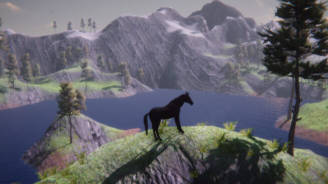 Horse and Go Seek Free Download