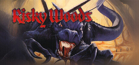 Risky Woods Free Download