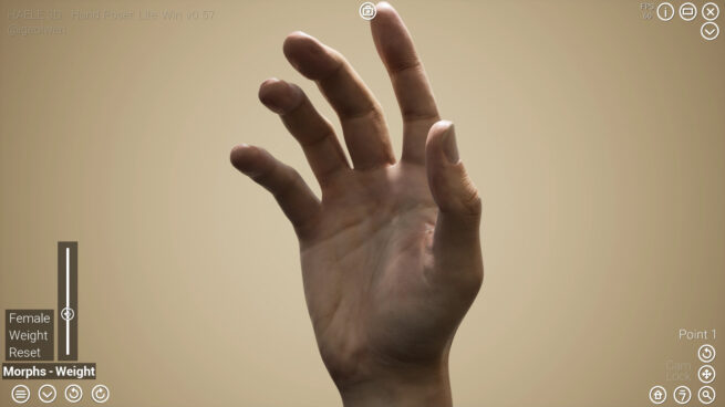 HAELE 3D - Hand Poser Lite Free Download