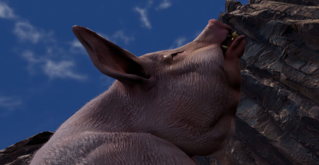 Big Pig Free Download